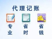 纳税申报自动化